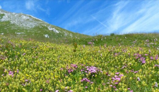 もっと治療中の写真が撮りたいのですが